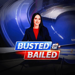 Busted or Bailed game icon